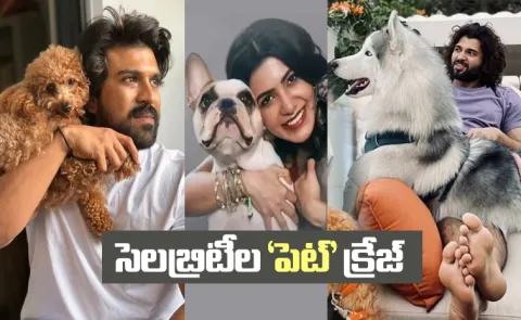 Telugu film stars and their Pets Details