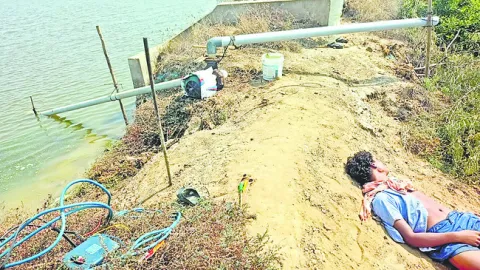 విద్యుత్‌ షాక్‌తో ఫీడ్‌ బాయ్‌ మృతి 