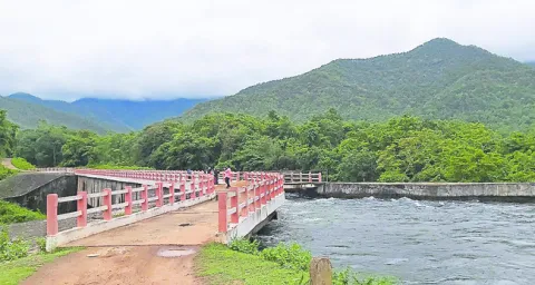 ‘పుష్ప’తో ఒక్కసారిగా క్రేజ్‌ 
