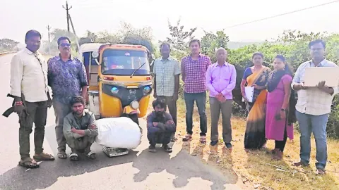 15 కిలోల గంజాయి పట్టివేత 