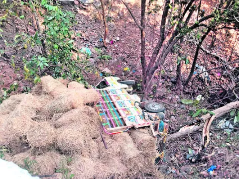 నల్లమల లోయలో బొలెరో వాహనం బోల్తా