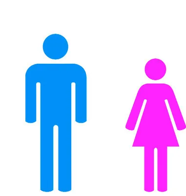 ఆమెదే ఓటు, సీటు!