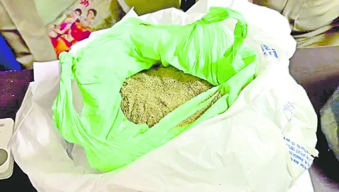 గసగసాల పొడి సీజ్‌.. వ్యక్తి అరెస్ట్‌ 