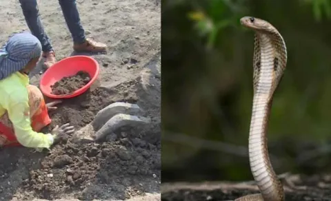 Ancient Treasures Found in Lakkundi