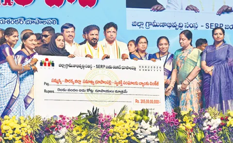 CM Revanth Reddy Comments On District reorganization Issue