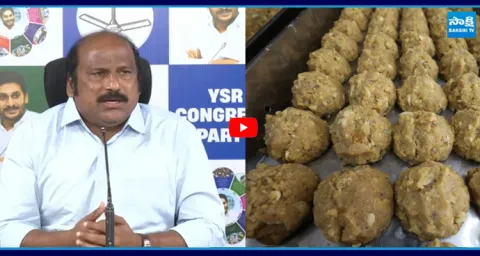 TJR Sudhakar Babu About Chandrababu 2 Years Ruling 1