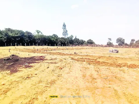 ‘రియల్‌’ దందా..! 