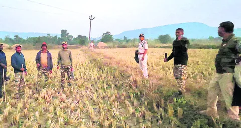అడవిలో మృత్యుపాశాలు