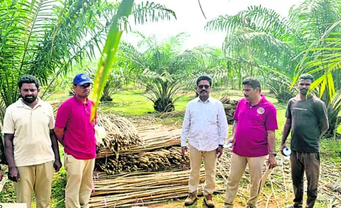 ● తరలింపులో అటవీ శాఖ  ఉద్యోగి హస్తం.? ● స్థానికుల సమాచా