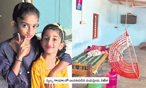 Grandmother And Friend Die Saving Girl From Electric Shock