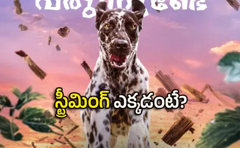 Malayalam super Hit Movie Pennum Porattum Streaming On This Ott8