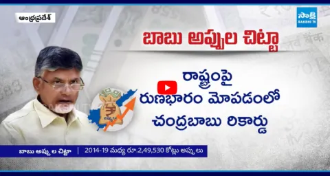 AP Debt Mounts Under Chandrababu Govt On Experts Raise Concerns 1