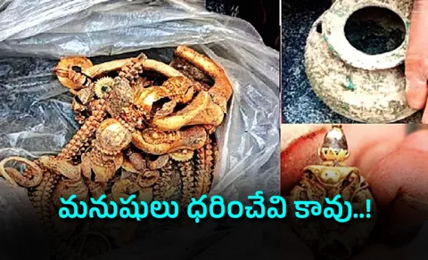 Treasure Found At Lakkundi 500 To 600 Years Old 