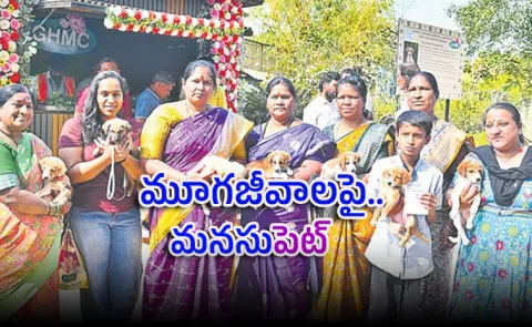 GHMC Indie Dog Puppy Adoption Drive in Hyderabad