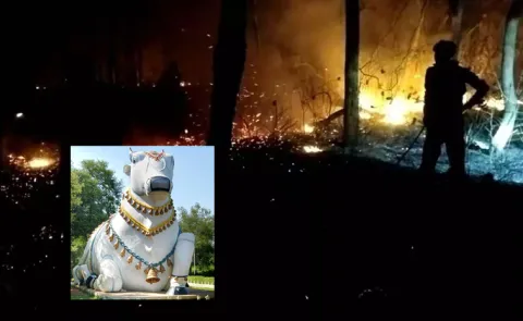 Wildfire Erupts in Nallamala Forest Close to Mahanandi Shrine