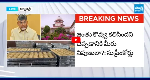 Supreme Court Big Shock To Chandrababu Over Tirumala Laddu Issue 1
