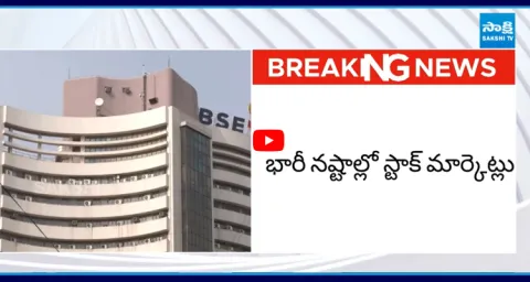 Stock Market in Collapse in India  1