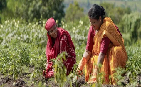 women in the agriculture sector should get a greater role 12