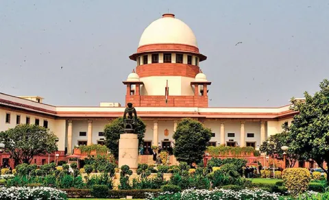 You want us to run entire country, asks Supreme Court; dismisses plea seeking sweeping directions14