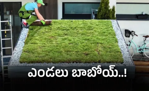 Hot summer How to keep rooof cool check here