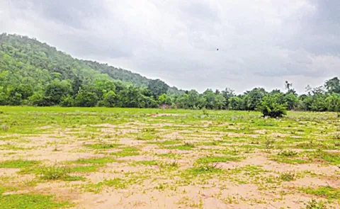 Andhra cabinet clears removal of 22-A restrictions on over 75,000 acres of Industrial Land