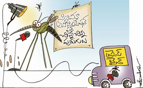 humorous story about Cinema Insects Association