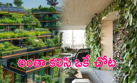 The Rise of Landscaping and Co Working Spaces in Modern Communities2