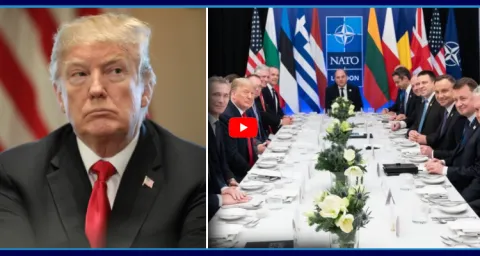 NATO Nations Big Shock To Donald Trump 2