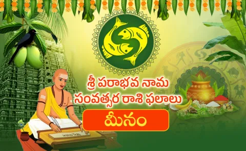 Meena rasi - Sri Parabhava Nama Samvatsara Rashi Phalalu 2026-27