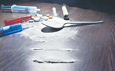 Sensational details in the remand report of the Farmhouse Party case