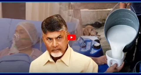 Deadly Adulterated Milk Case In Andhra Pradesh  1