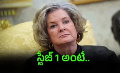 White House Chief Of Staff Susie Wiles Has Early-Stage Breast Cancer