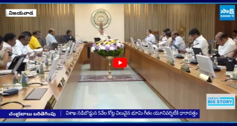 CM Chandrababu Concessions to Heritage Company 1