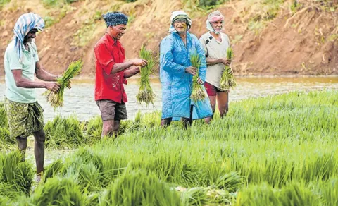 Rythu Bharosa Relief: First Phase Funds for Small Farmers from March 22