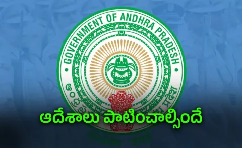 Election Commission shock to AP government over Panchayat voters list