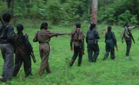  11 Naxalites with Rs 68 lakh bounty surrender in Maharashtra