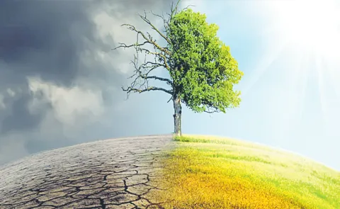 Climate Insurance for Poor Women