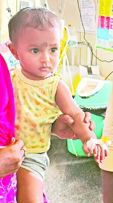 పసిపాపకు పాము కాటు 
