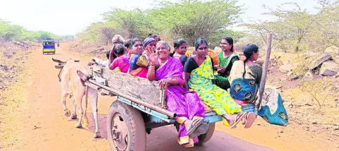  ఎంచక్కా.. ఎద్దుల బండిలో..