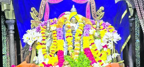 సింహగిరిపై పెళ్లి సందడి