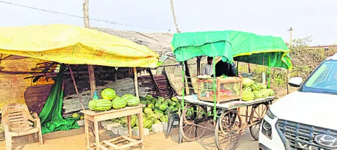 పుచ్చకాయలకు భలే గిరాకీ
