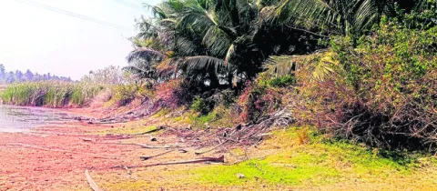  కబ్జా కోరల్లో పగడాల చెరువు  