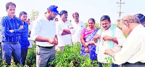 సేంద్రియం.. సత్ఫలితం