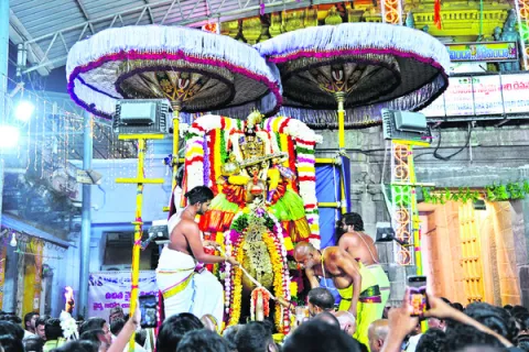 హంస వాహనంపై వీణాపాణి 