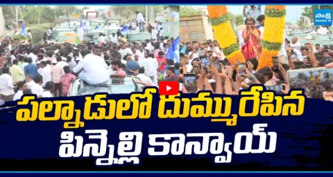 Pinnelli Ramakrishna Reddy Massive Rally At Palnadu  1
