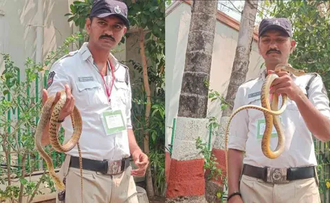 Traffic Constable Catches Snake In Telangana Assembly