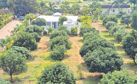 The noose is tightening around former MLA Rohit Reddy in the farmhouse drugs party case