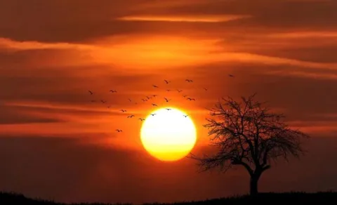 place with six months darkness svalbard arctic polar night