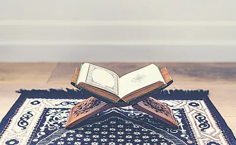 Quran mentions numerous plants and fruits