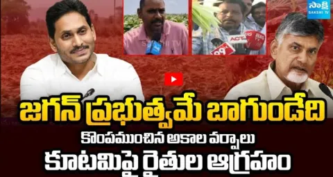 AP Farmers Suffer Crop Loss Due to Unseasonal Rains, TDP Govt Faces Criticism 2